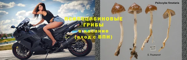 соль курить ск Вяземский