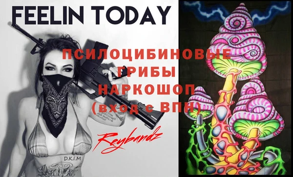 хмурый Вязники